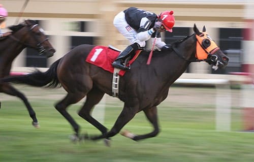 pa hbpa jockey on horse racing