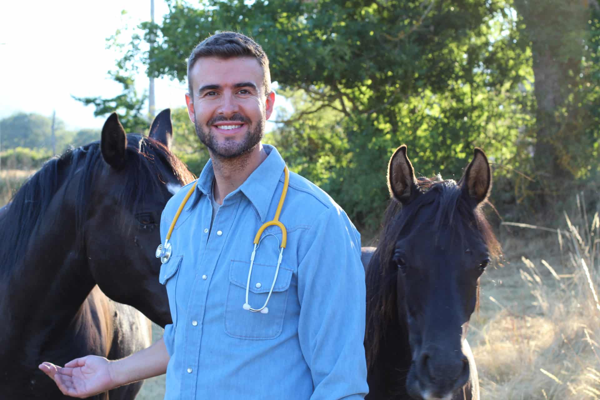 Handsome male vet smiling close horses Handsome male vet smiling close to horses.