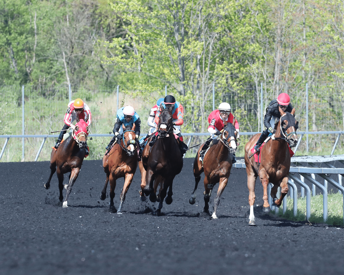PRESQUE ISLE DOWNS
