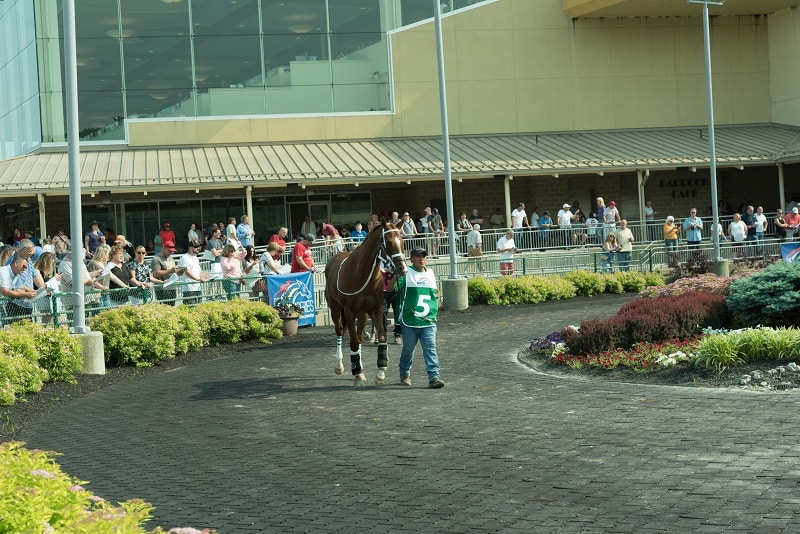 PA Horse Racing Caretakers Day