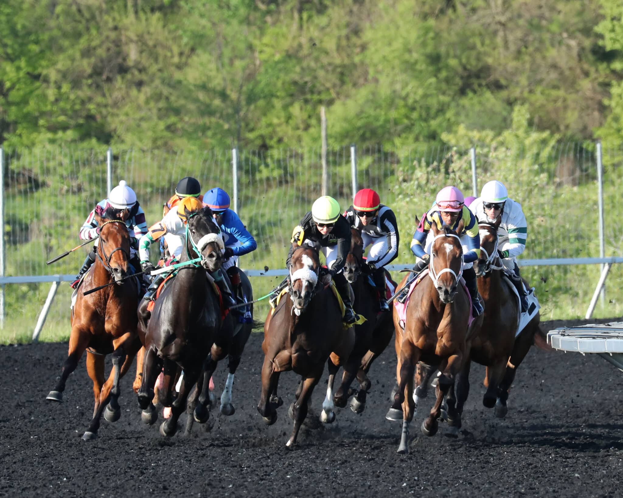 Scenics - Opening Day - 051925 - PID - 002 - Renee Torbit